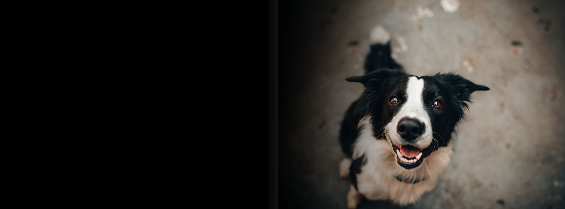 slideshow banner