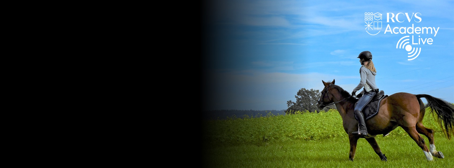 slideshow banner