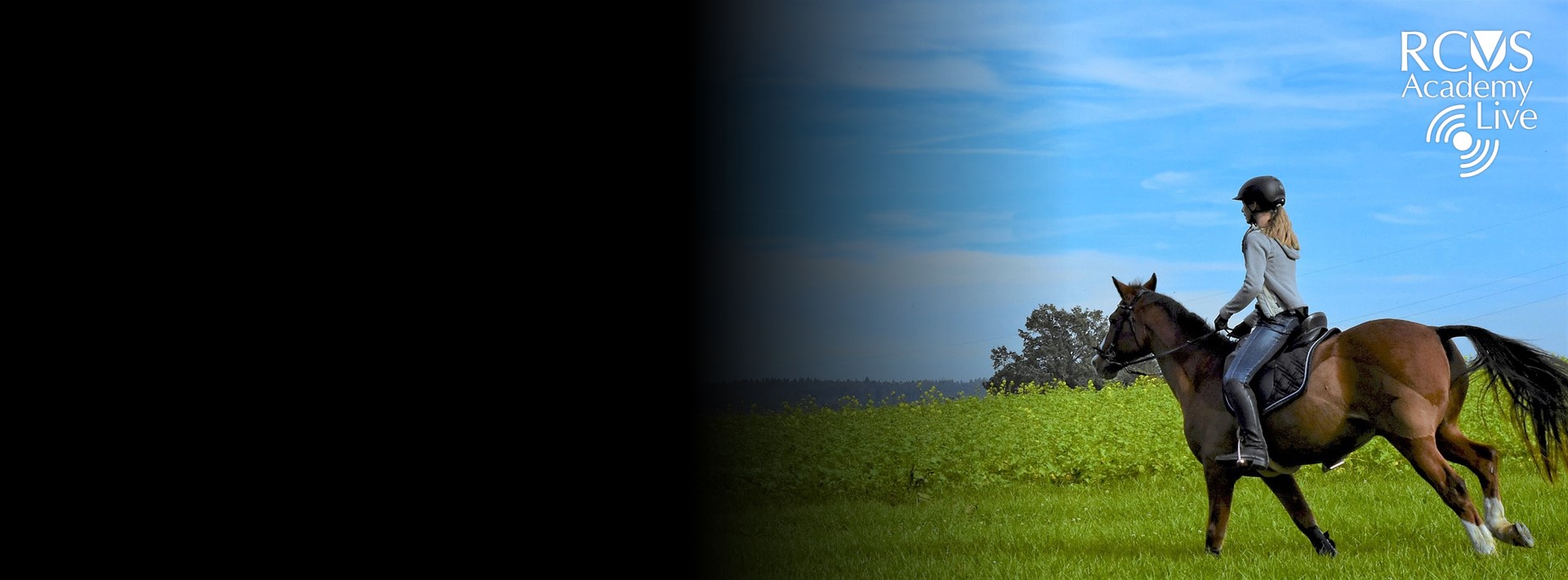 slideshow banner