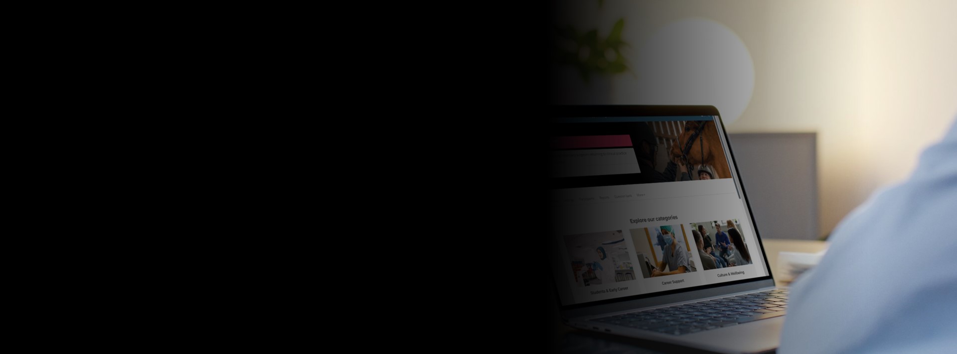 slideshow banner